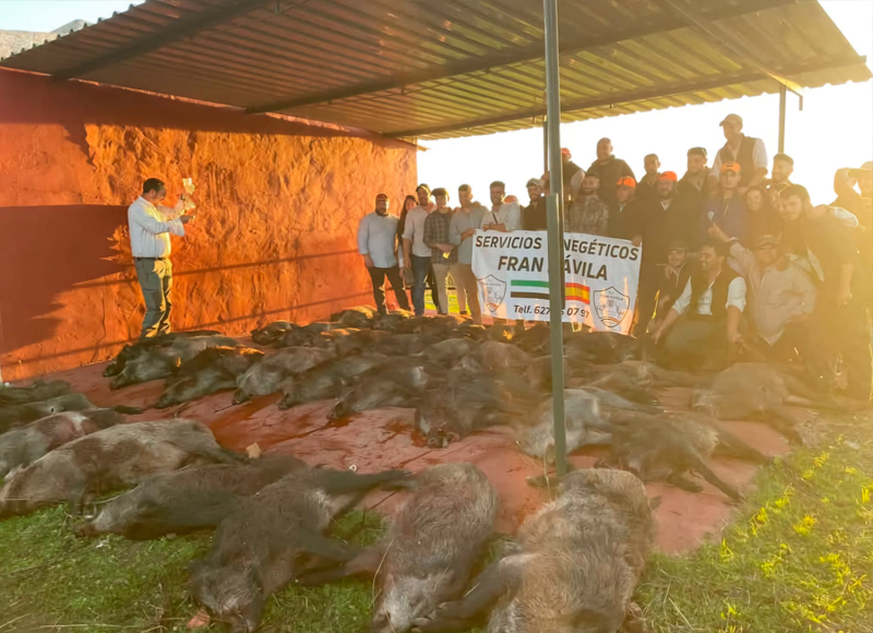 Chaqueta Caza Blaser