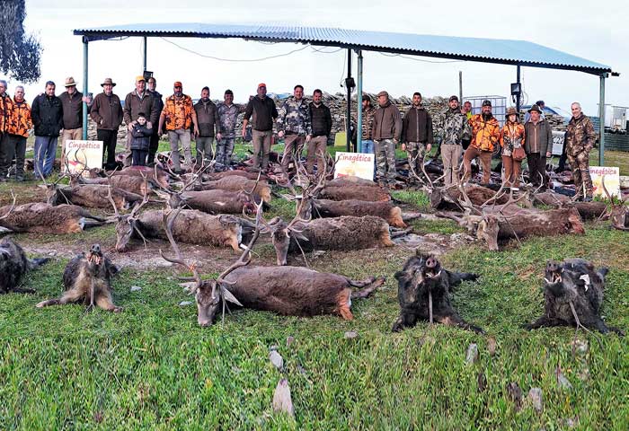 Chaqueta Caza Blaser