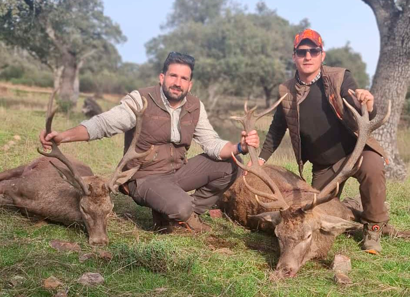 Chaqueta Caza Blaser