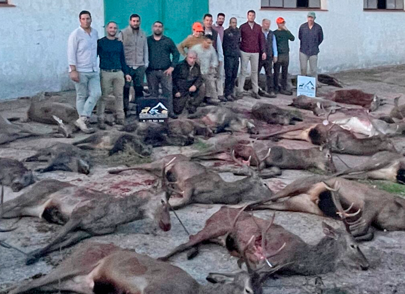 Chaqueta Caza Blaser