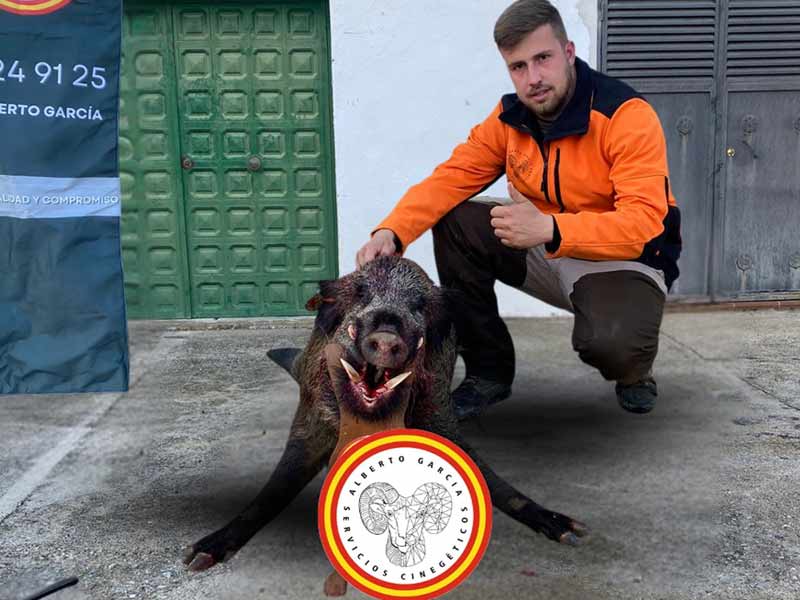 Chaqueta Caza Blaser