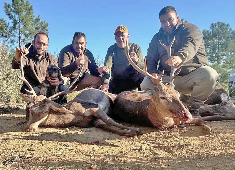 Chaqueta Caza Blaser