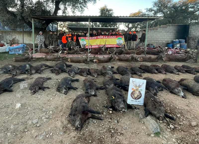 Chaqueta Caza Blaser