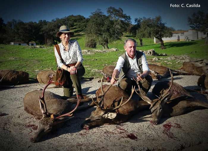 Chaqueta Caza Blaser