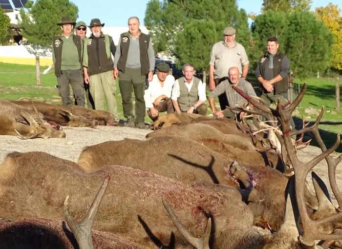 Chaqueta Caza Blaser
