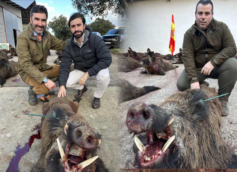 Chaqueta Caza Blaser