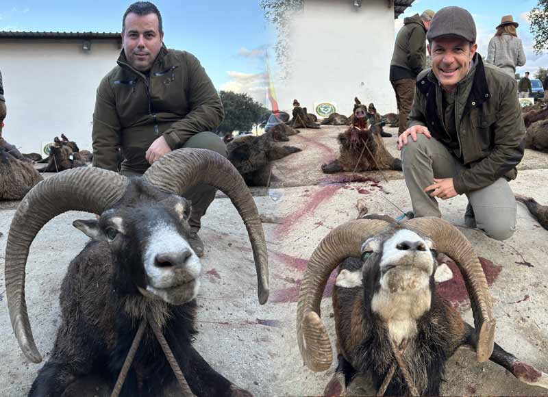 Chaqueta Caza Blaser