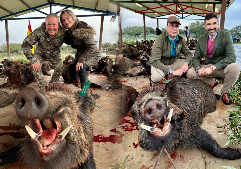 Chaqueta Caza Blaser