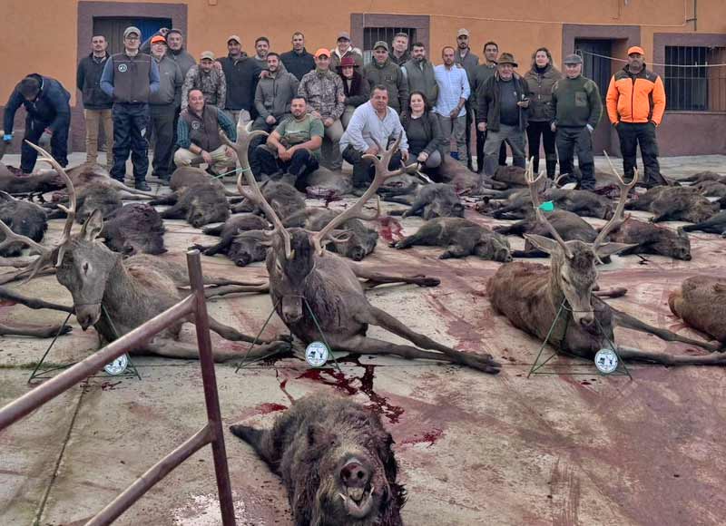 Chaqueta Caza Blaser