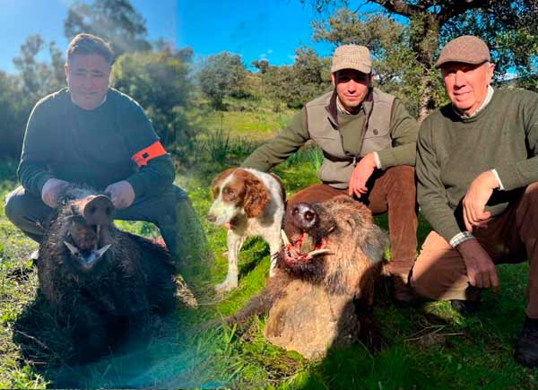 Chaqueta Caza Blaser