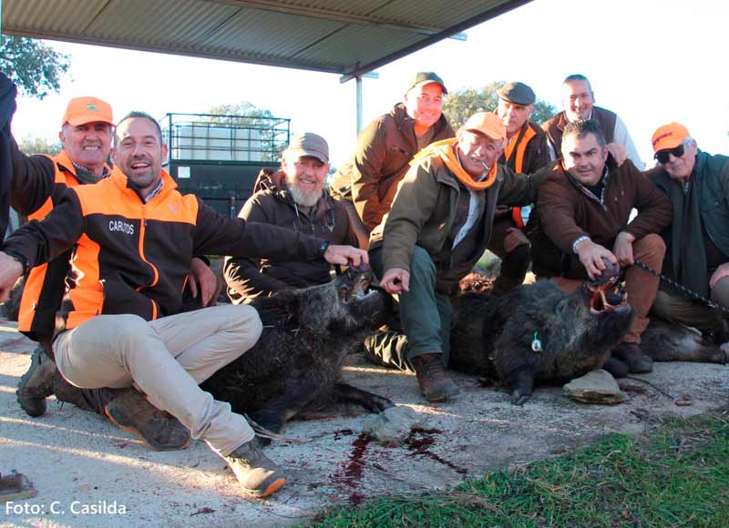 Chaqueta Caza Blaser