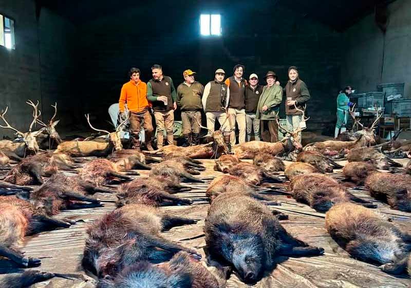 Chaqueta Caza Blaser