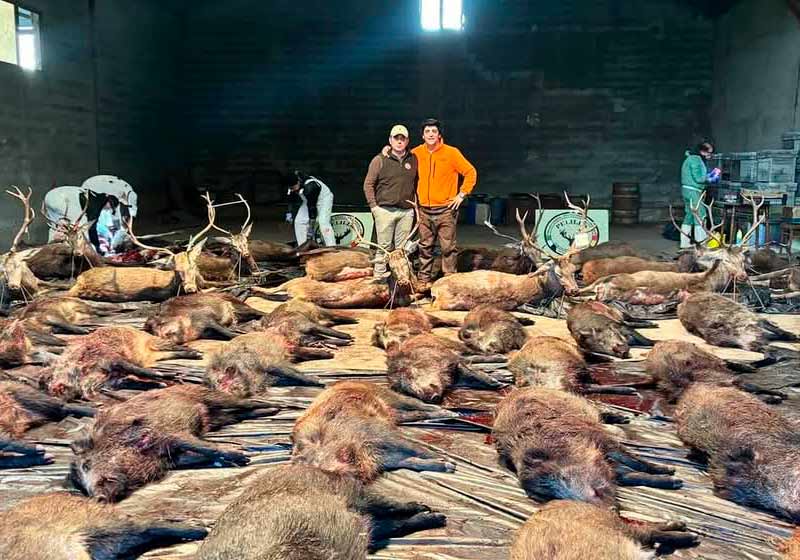 Chaqueta Caza Blaser