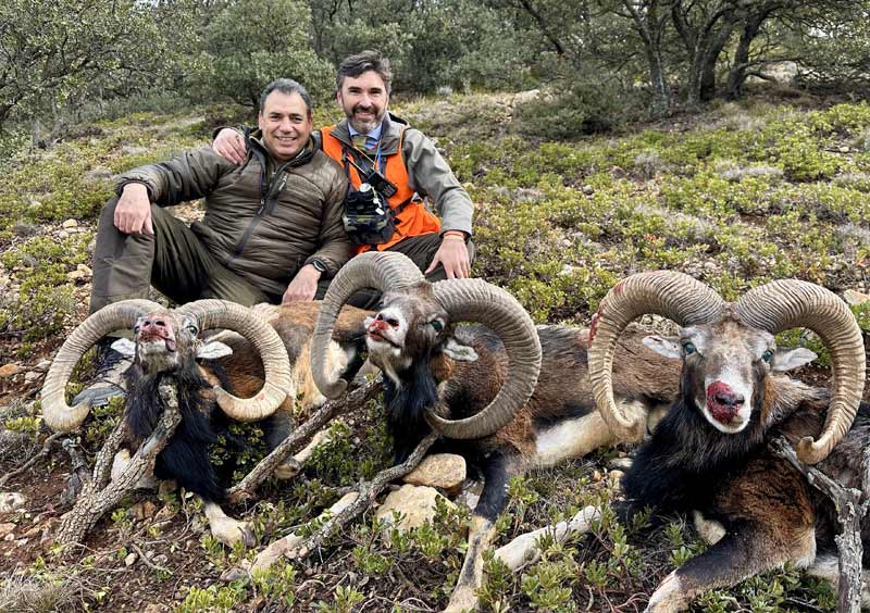Chaqueta Caza Blaser