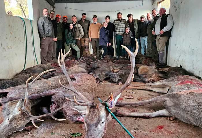 Chaqueta Caza Blaser