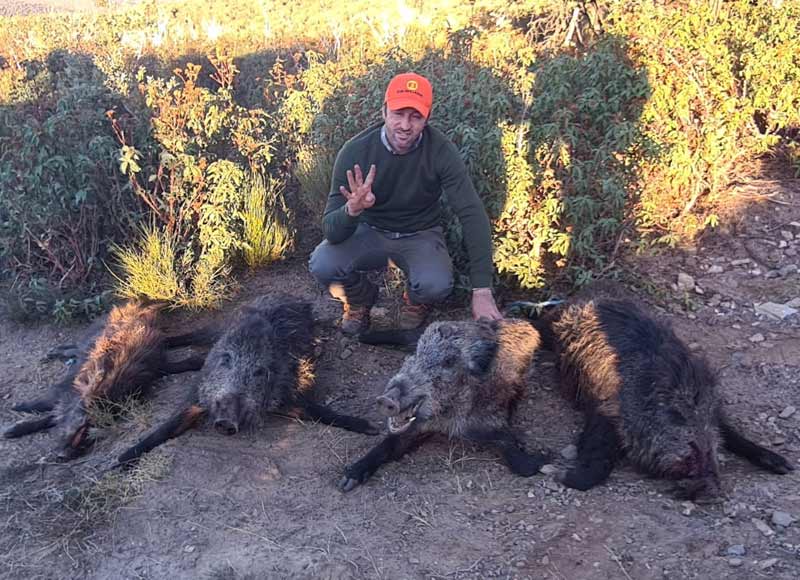 Chaqueta Caza Blaser