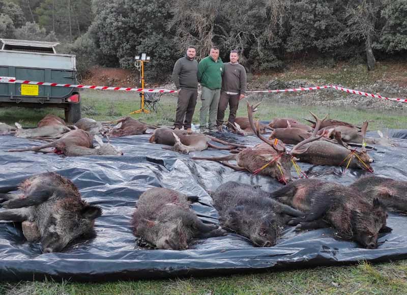 Chaqueta Caza Blaser