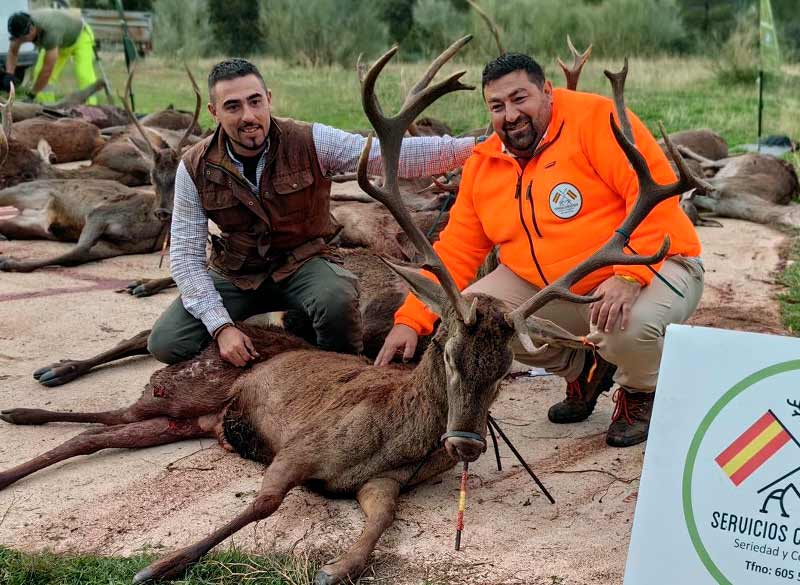 Chaqueta Caza Blaser