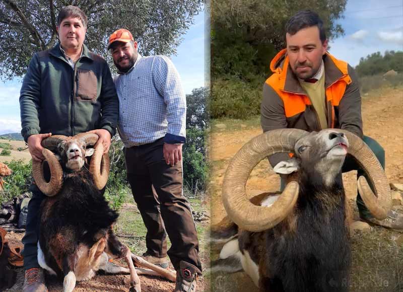 Chaqueta Caza Blaser