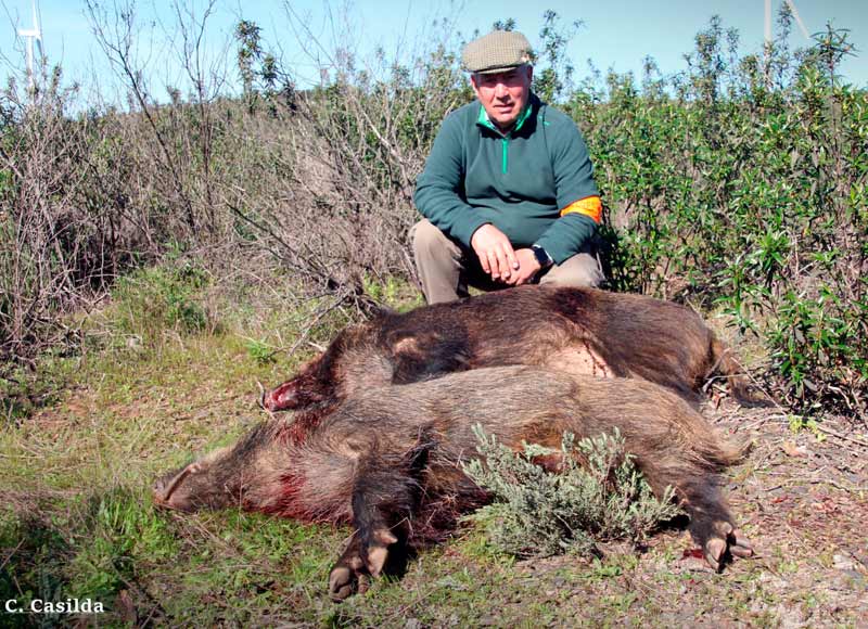 Chaqueta Caza Blaser