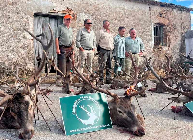 Chaqueta Caza Blaser