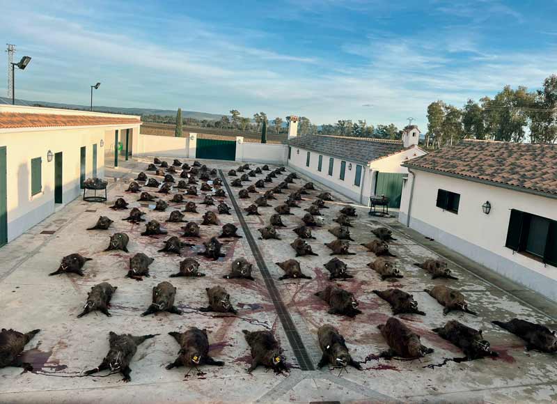 Chaqueta Caza Blaser