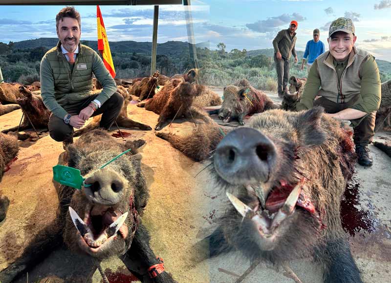 Chaqueta Caza Blaser