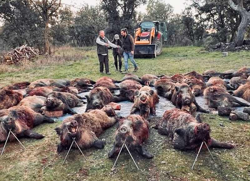 Chaqueta Caza Blaser