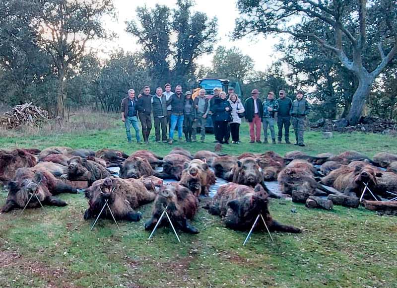 Chaqueta Caza Blaser