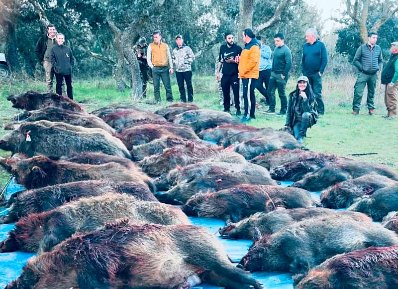 Chaqueta Caza Blaser