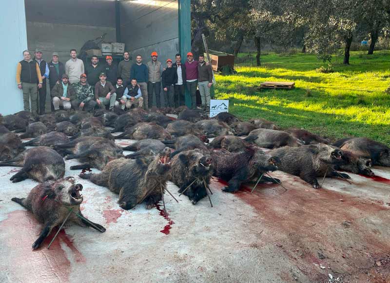 Chaqueta Caza Blaser