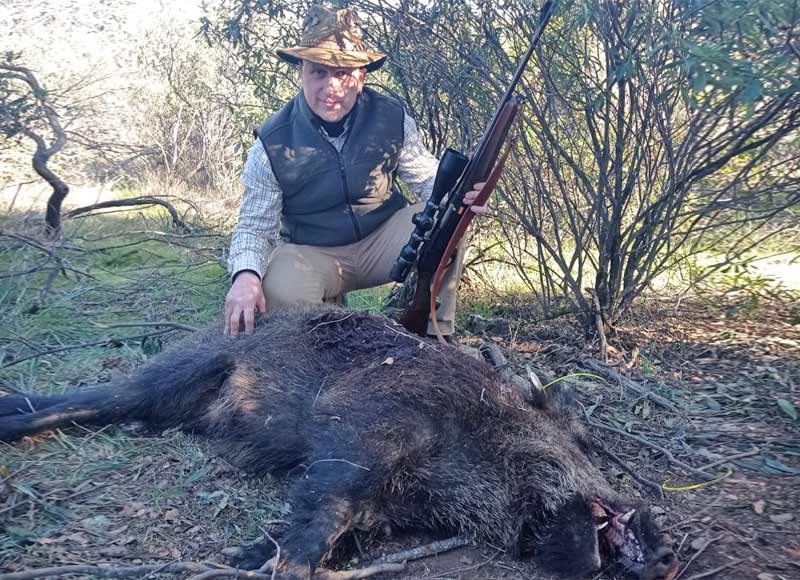 Chaqueta Caza Blaser