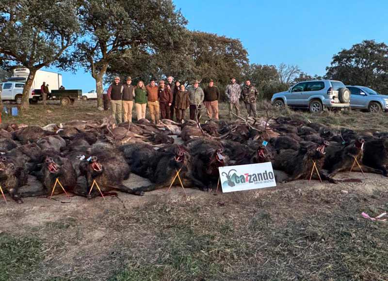 Chaqueta Caza Blaser