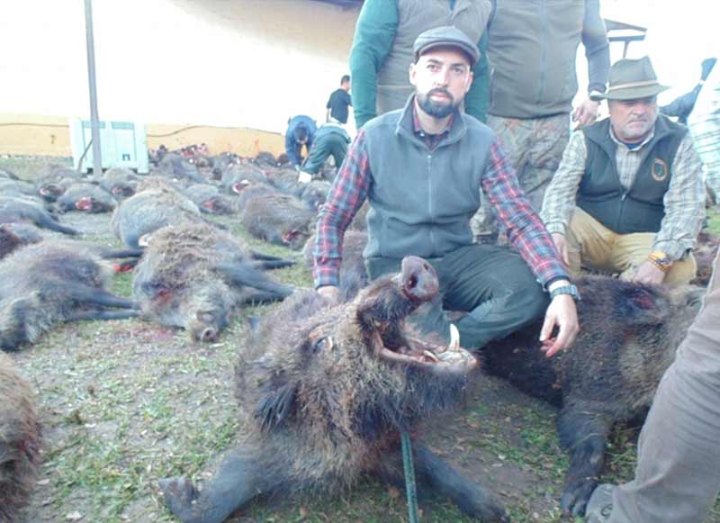 Chaqueta Caza Blaser