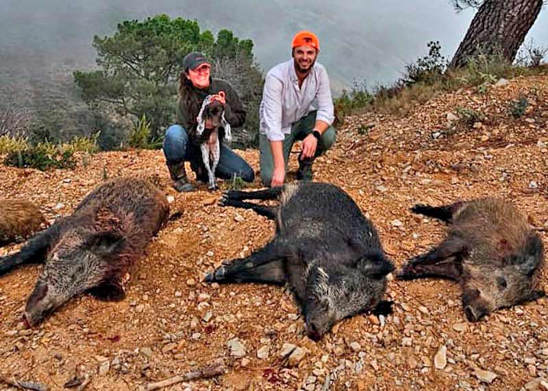 Chaqueta Caza Blaser