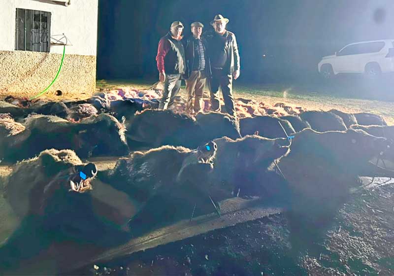 Chaqueta Caza Blaser