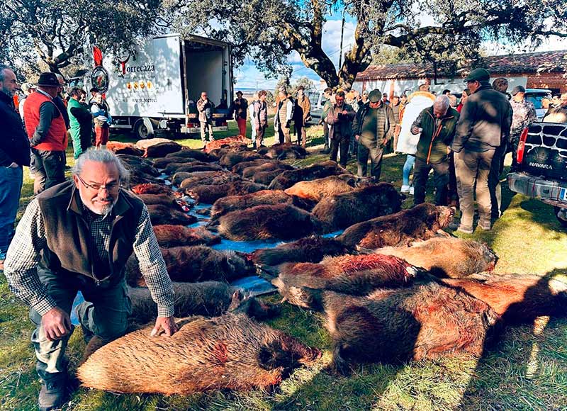 Chaqueta Caza Blaser