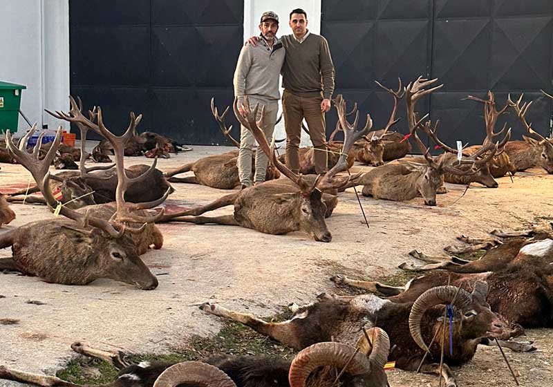 Chaqueta Caza Blaser