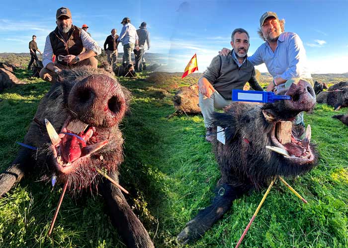 Chaqueta Caza Blaser