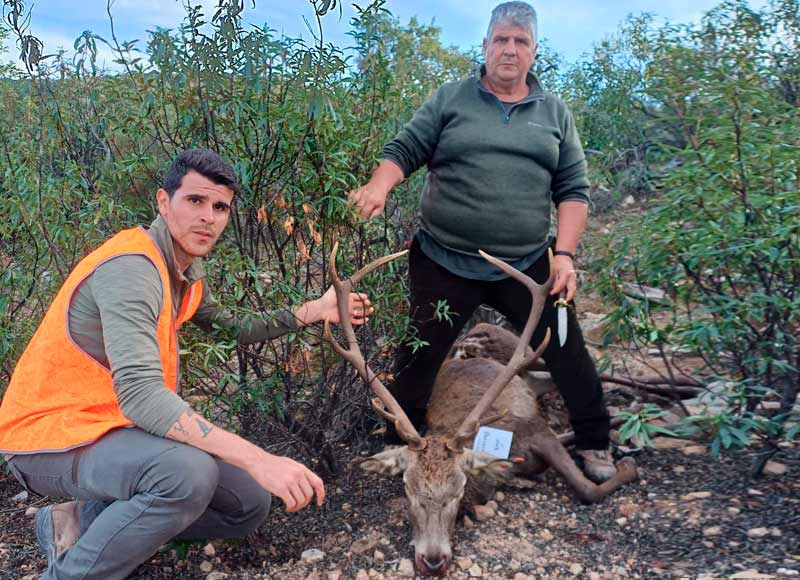 Chaqueta Caza Blaser
