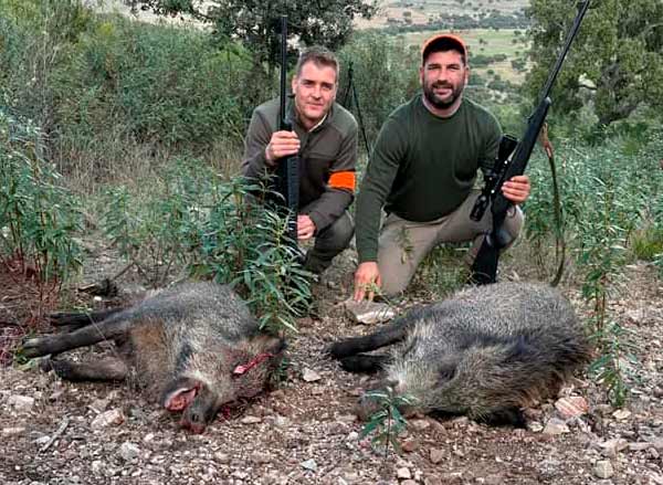 Chaqueta Caza Blaser