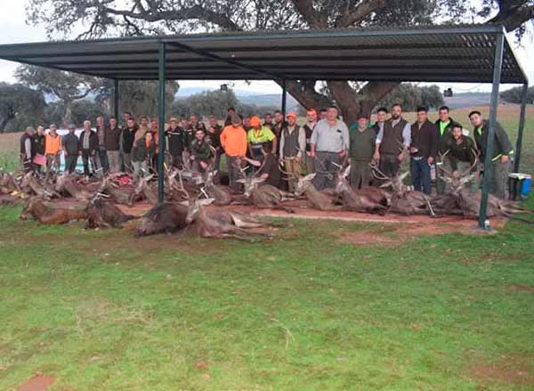 Chaqueta Caza Blaser