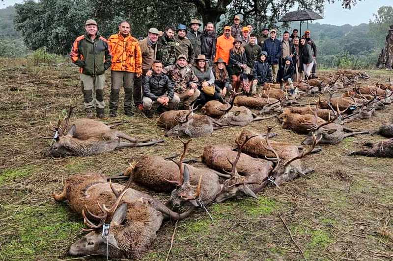 Chaqueta Caza Blaser