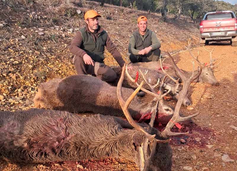 Chaqueta Caza Blaser