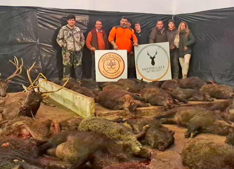 Chaqueta Caza Blaser