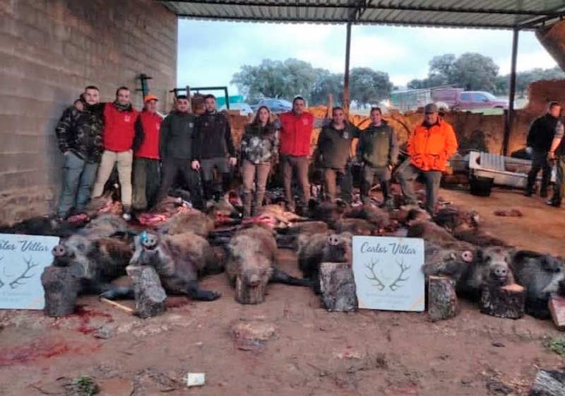 Chaqueta Caza Blaser