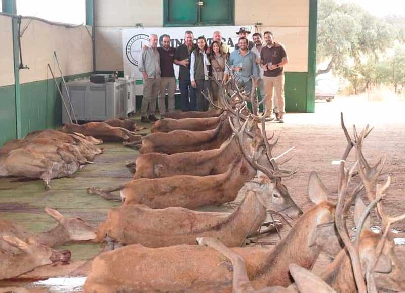 Chaqueta Caza Blaser