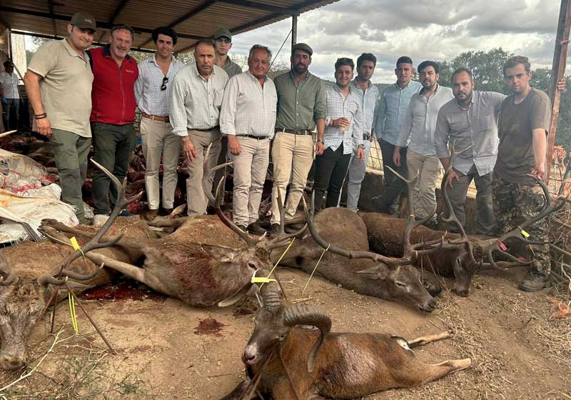 Chaqueta Caza Blaser