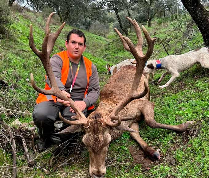 Chaqueta Caza Blaser