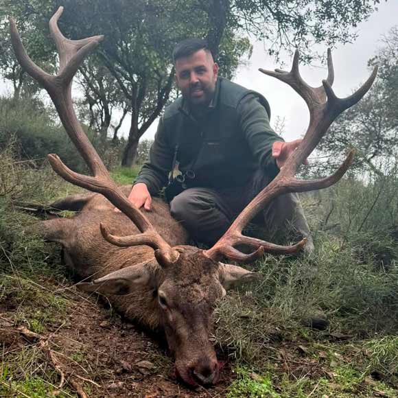 Chaqueta Caza Blaser